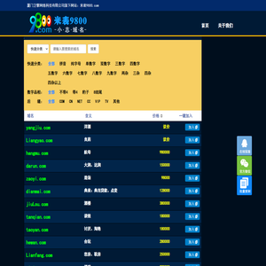 米表9800.com厦门卫擎网络科技专注优质拼音