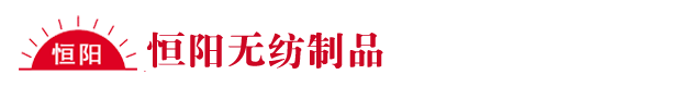 河北恒阳无纺制品有限公司